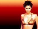  Halle Berry - Small Photo 4