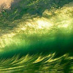 لقطة مذهلة لامواج البحر مع اطلالة الشمس الرائعة